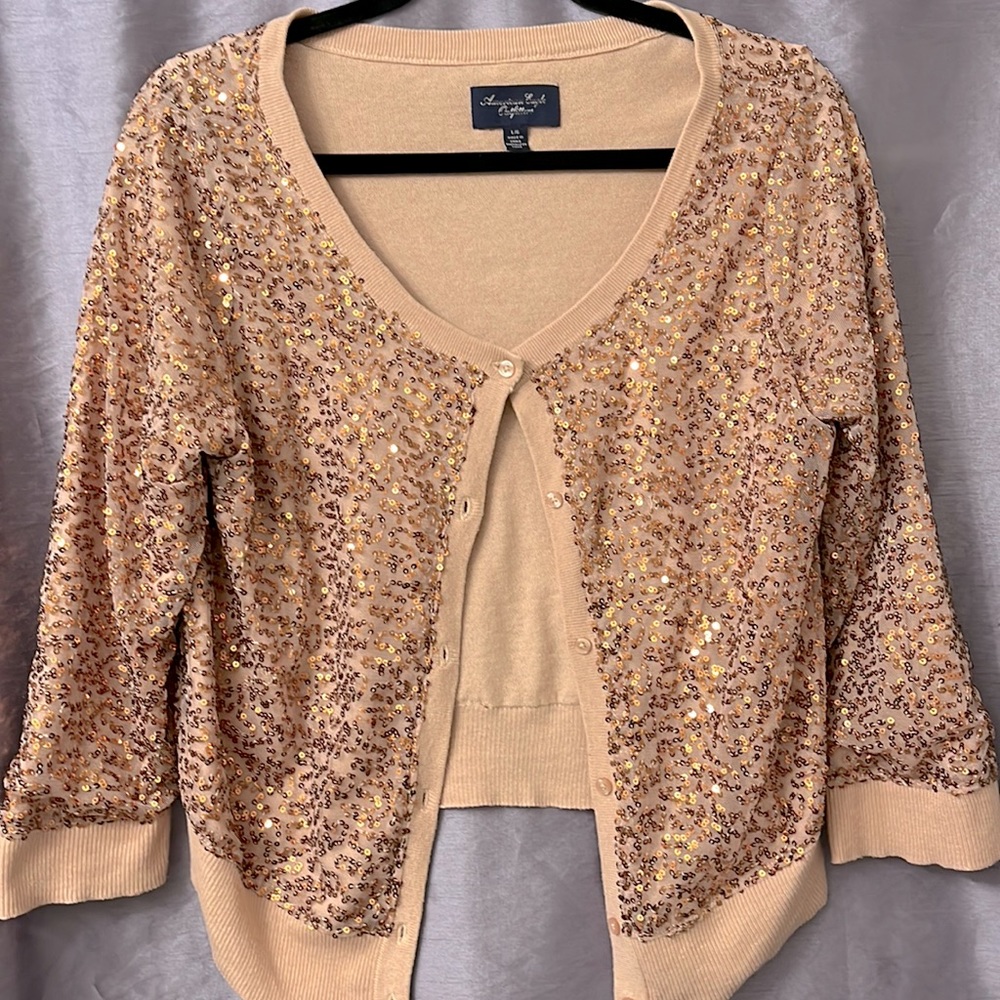 Large American Eagle Outfitters rose gold sequin cardigan